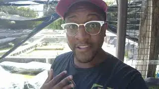 Neighborhood fish farm tour!