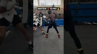 Amateur vs Pro | Experience Always Wins 🥊🔥 #boxing #boxinglife #boxingtraining