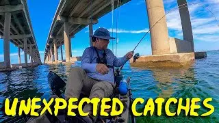 Kayak Fishing Destin Harbor and Destin Bridge - Suprise Catches