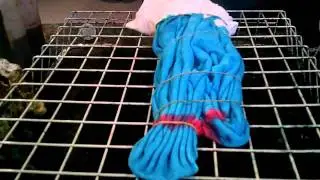 How to Tie Dye Breast Cancer Awareness Sign
