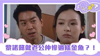 BB來了 | 黎諾懿做老公仲慘過條金魚？！