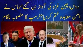 US Gaza Resolution Passed at UNSC &mdash; Russia & China Reject Trump&rsquo;s Peace Proposal