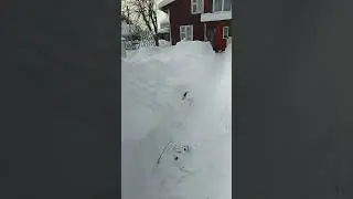 уже не смешно