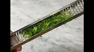 R&acirc;per un agrume