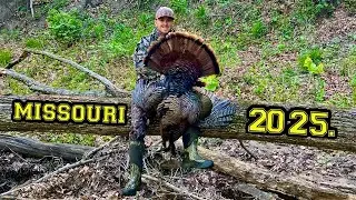 Turkey Hunting in Missouri | Action Packed Footage 2025