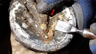 Real Farrier ASMR  Deep Cleaning Dirty Hooves