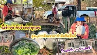 เก็บจากต้น นึ่งข้าวร้อนติดฝักแกงจืดหม้อยักษ์ ป้าแต๋นเล่นกับน้องๆ เด็กๆไปโรงเรียน