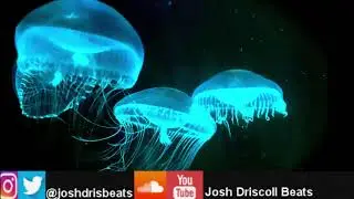 Chill trippy rap beat 