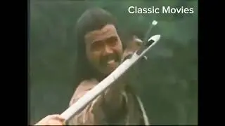 Stranger from Canton 1973