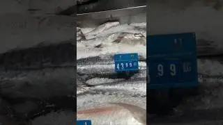 #DubaiFishMarket #UAESeafood #LocalMarketTour #DubaiVlog #StreetMarket#shortvideo#