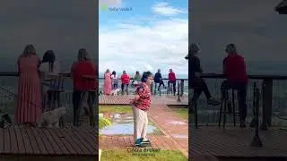 Cuesta Caf&eacute; Pardinho #ninhoverde2 #shortsyoutube #viral_video