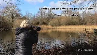 Landscape and wildlife photography at Blashford Lakes