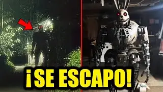 &iexcl;NOSEY el ANIMATR&Oacute;NICO REAL QUE ESCAP&Oacute;!