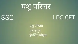 #pashu parichar #BSTc#important questions answers #REET #LDC #gkquestion