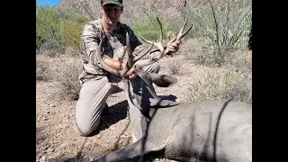 Southern Arizona Mule Deer