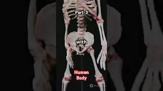#HumanBodyFacts #AmazingAnatomy #MindBlowingScience #DidYouKnow #Factsonly #StayCurious