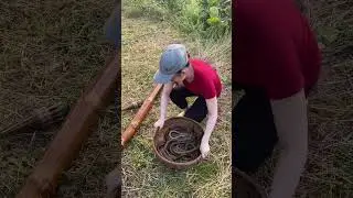Amazing Eel Trap With Survival Skills