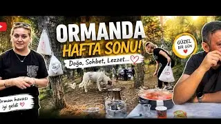A Hungry Dog Came Up to Us While We Were Having a Picnic🥹 Unexpected Guest During Our Picnic in t...