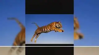 Aali Maharashtra navnirman Sena