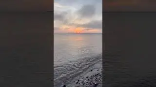 What the Ocean Can Teach You About Presence