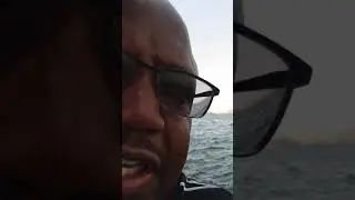 Nubian #1