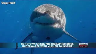 Hometown Shark Photographer Dives Underwater with Mission to Inspire