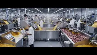 How Brazil Produces the World&rsquo;s Largest Passion Fruit Juice Supply | Inside a Mordan Factory
