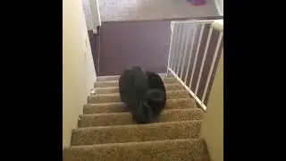 упал