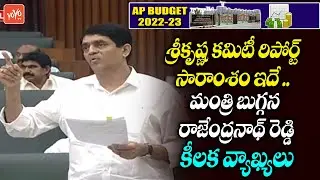 Minister Buggana Rajendranath Reddy About Srikrishna Committee Report | AP Assembly 2022 | YOYO TV