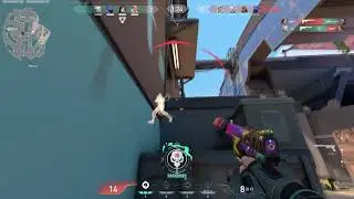 Mega frags #4 (Camps,ranked radiante)