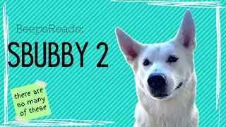 sbuby2