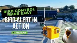 How BirdAlert Smart Audio Bird Scarer Works | Species Detection in Action!