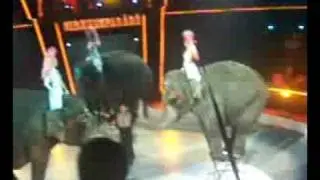 Budapest Circus