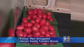 Heroin Smuggled In Tomato Boxes