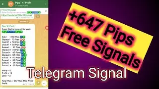 My Telegram Channel 647 Pips Free Signals This Week