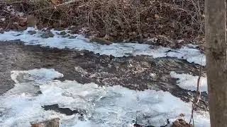 Stream flowing with snowmelt, Berks County, PA 2026-01-03 1454