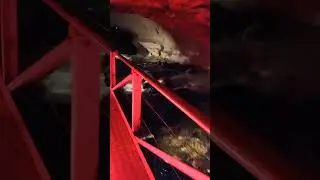 Fiordland National Park - trip to Te Anau Glowworm Cave