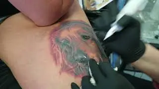 Golden Retriever Tattoo by Zindy Ink