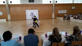 Pomsky duo