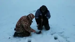 20160212 101221