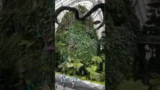 Avatar, The Experience at Cloud Forest, Gardens By The Bay.