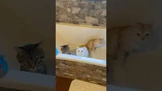 You need to wash your ass every day.