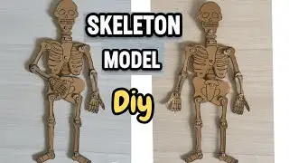 DIY Skeleton 💀 Model with Cardboard | Easy School Project Idea💡| School Project 
