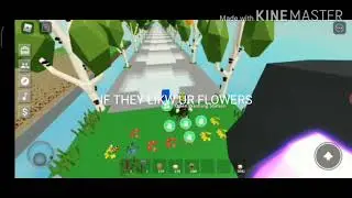 How to get Bees in Roblox islands🐝🐝🐝