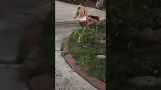 Falling is part of the learning process 🤭😅😂