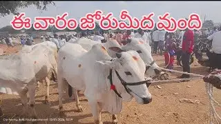 kosgi cattel market every Sunday sales videos Bull's youtube channel