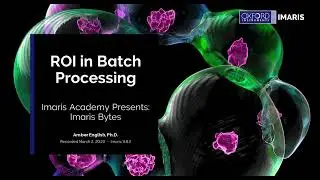 ROI in Batch Processing