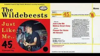 Wildebeests - Please Go Home (1996 Sympathy for the Record Industry)