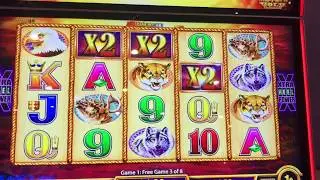 Slot Machine Wins! Buffalo Gold, Lock it Link, Candy Bars 2, Buffalo Stampede @ Coushatta Casino