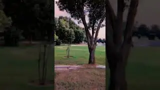 The beautiful Comsats University Vehari|football ground|New building|Cafeteria|